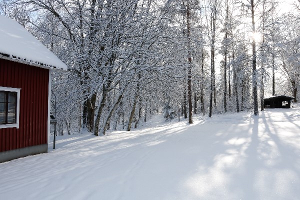 Än så länge bara några djurspår i snön