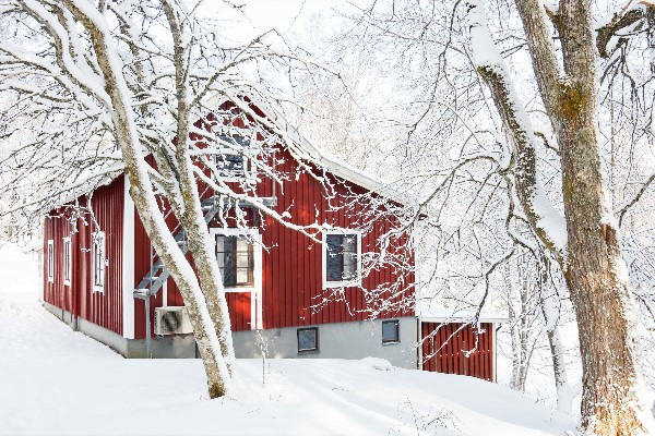 Snö och kallt på Stackebo, riktig vinter alltså!